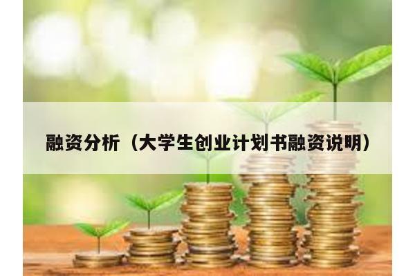 融資分析(大學生創業計劃書融資說明)