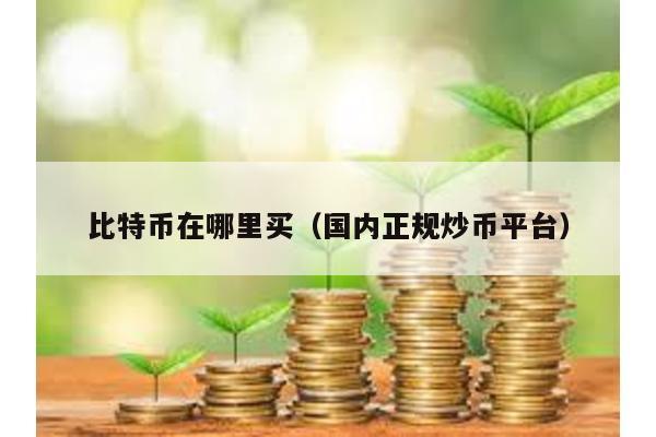 比特幣在哪里買(國內正規炒幣平臺)