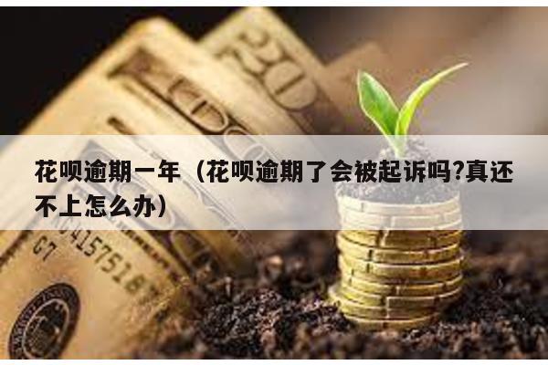花唄逾期一年(花唄逾期了會被起訴嗎?真還不上怎么辦)