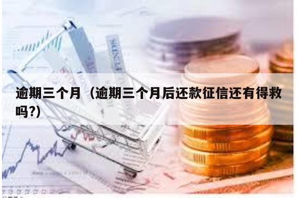 逾期三個月(逾期三個月后還款征信還有得救嗎?)