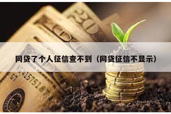 網貸了個人征信查不到(網貸征信不顯示)