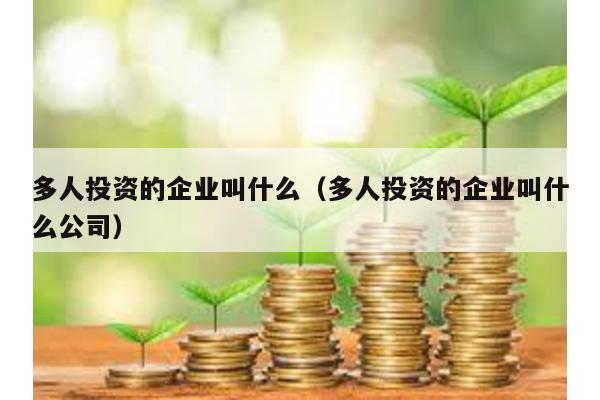 多人投資的企業叫什么(多人投資的企業叫什么公司)