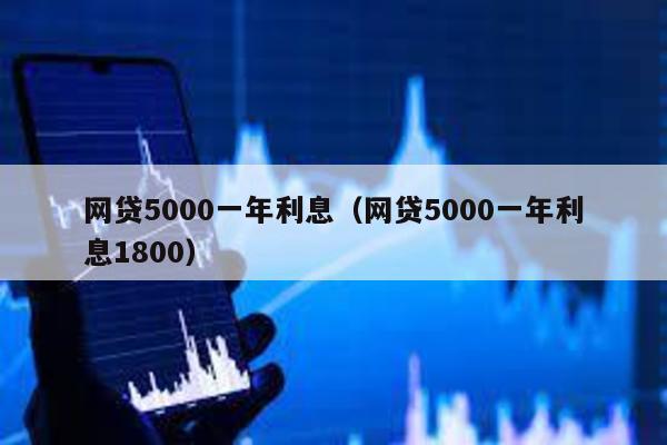 網(wǎng)貸5000一年利息(網(wǎng)貸5000一年利息1800)