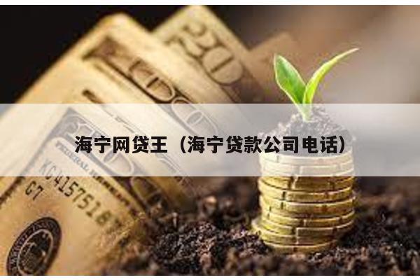 海寧網(wǎng)貸王(海寧貸款公司電話)