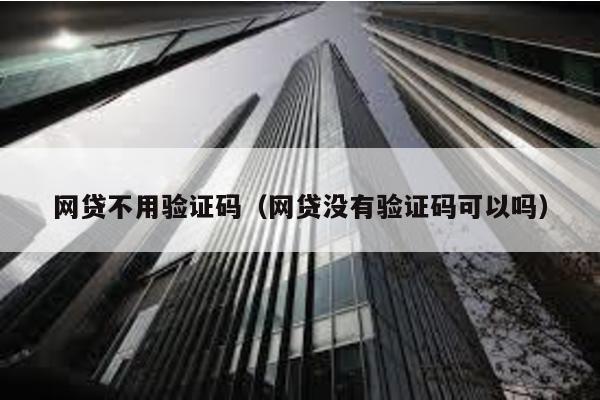 網貸不用驗證碼(網貸沒有驗證碼可以嗎)