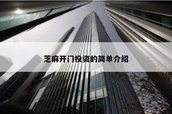 芝麻開門投資的簡單介紹