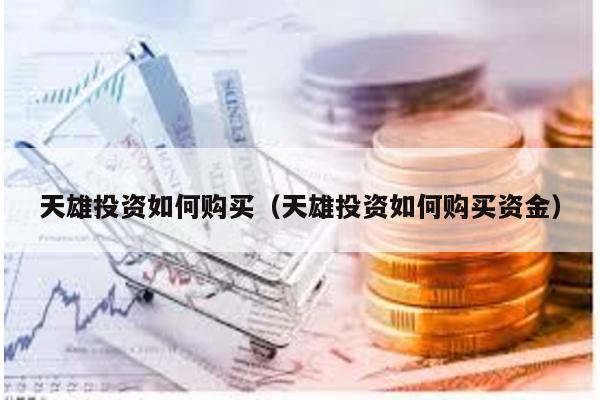 天雄投資如何購買(天雄投資如何購買資金)