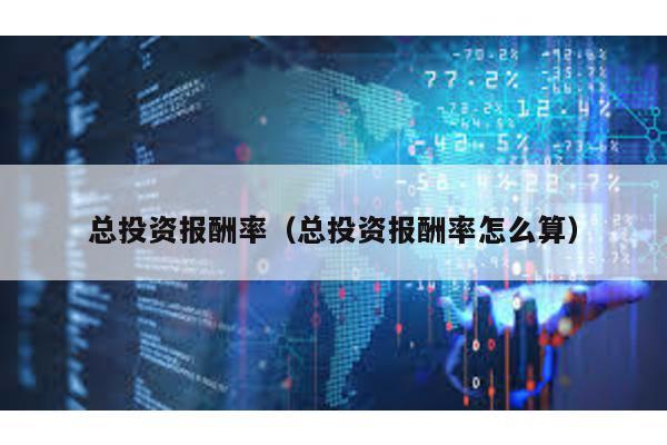 總投資報酬率(總投資報酬率怎么算)