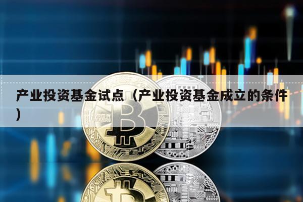 產業投資基金試點(產業投資基金成立的條件)