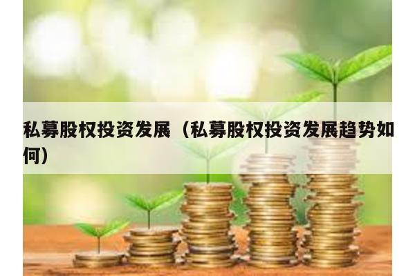 私募股權(quán)投資發(fā)展(私募股權(quán)投資發(fā)展趨勢如何)