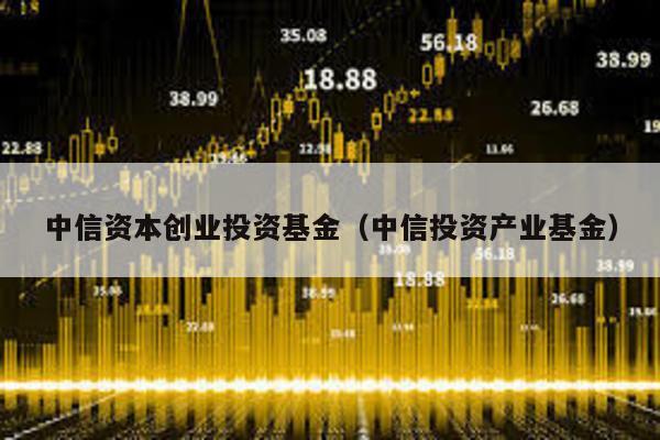 中信資本創(chuàng)業(yè)投資基金(中信投資產(chǎn)業(yè)基金)
