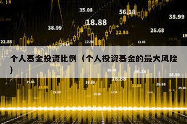 個人基金投資比例(個人投資基金的最大風險)