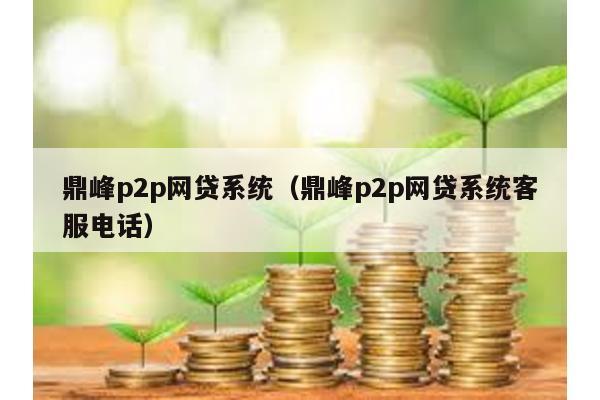 鼎峰p2p網貸系統(鼎峰p2p網貸系統客服電話)
