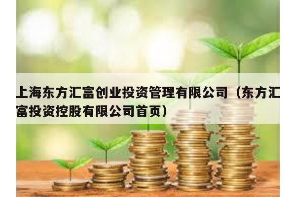 上海東方匯富創業投資管理有限公司(東方匯富投資控股有限公司首頁)