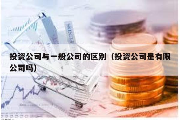 投資公司與一般公司的區別(投資公司是有限公司嗎)