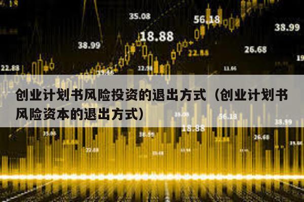 創業計劃書風險投資的退出方式(創業計劃書風險資本的退出方式)